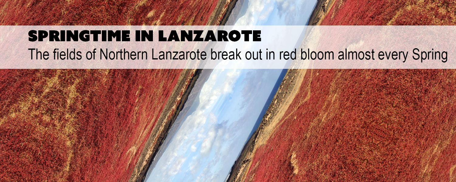Springtime in Lanzarote